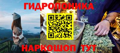 тгк Краснодар