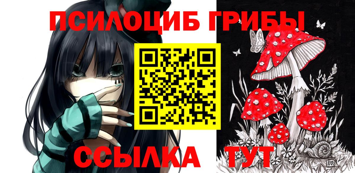 Казань  Псилоцибиновые грибы Magic Shrooms  Вход с VPN 