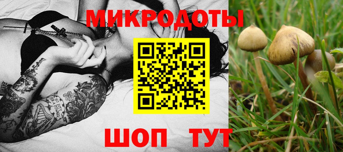 Галлюциногенные грибы мухоморы Казань